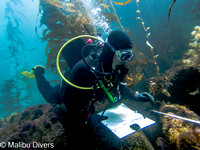 Reef Check Recert May 7, 2023