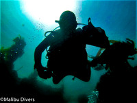 Aug 14, 2020 Guided local dives
