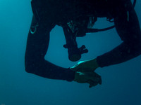 Advanced Specialty Dives October 14