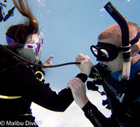 Beginner Scuba Diving Jan 8 -9, 2022