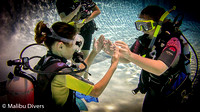 Discover SCUBA & snorkeling - April 30, 2017