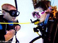 Beginner Scuba Diving Jan 8 -9, 2022