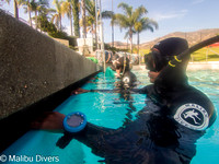 Freediving Nov 17, 2024