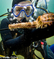Oct 29-31, 2021 T223 SCUBA
