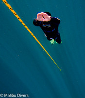 Freediving Training Jan 15-16, 2022